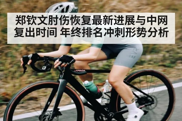 郑钦文肘伤恢复最新进展与中网复出时间 年终排名冲刺形势分析